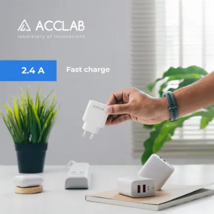 Зарядное устройство AccLab AL-TC224 2хUSB 5В/2,4A/12W White (1283126538834)