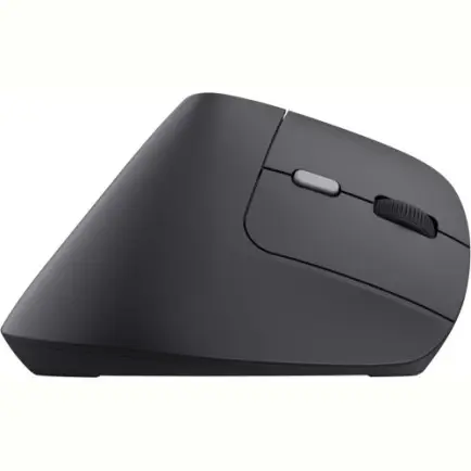 Мышь беспроводная Trust Bayo II Ergonomic Black (25145)