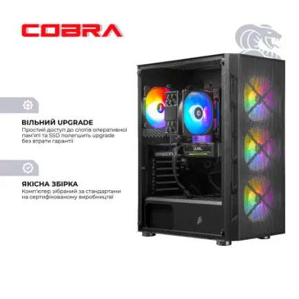 Персональний комп`ютер COBRA Advanced (A56X.32.S5.55.20451)