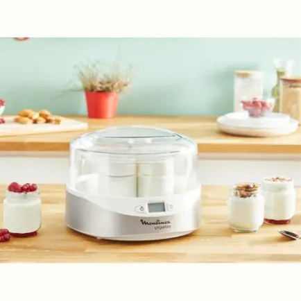 Йогуртница Moulinex YG231E32