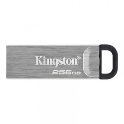 Флеш-накопитель USB3.2 256GB Kingston DataTraveler Kyson Silver/Black (DTKN/256GB)