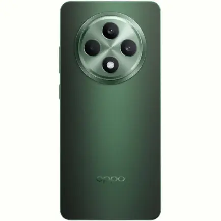 Смартфон Oppo Reno12 F 5G 8/256GB Black Green