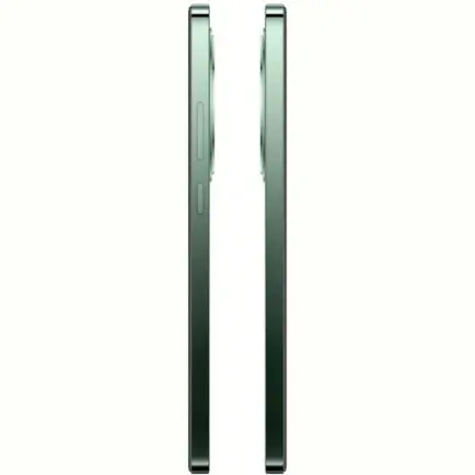 Смартфон Oppo Reno12 F 5G 8/256GB Black Green