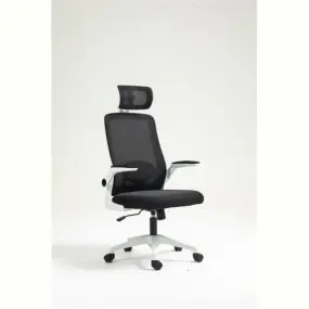 Кресло для геймеров Aula F526 Gaming Chair Black (6948391286235)