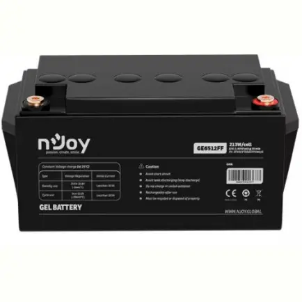 Аккумуляторная батарея Njoy GE6512FF 12V 65AH (BTVGCFTEBHBFFCN01B)