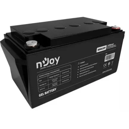 Аккумуляторная батарея Njoy GE6512FF 12V 65AH (BTVGCFTEBHBFFCN01B)