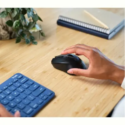 Мышь беспроводная Trust Mydo Silent Wireless Black (25084)