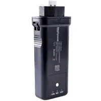 WiFi интерфейс Dyness RSW-1