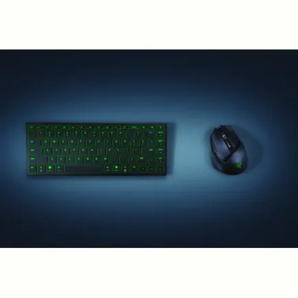 Мышь беспроводная Razer Basilisk Mobile (RZ01-04310100-R3G1)